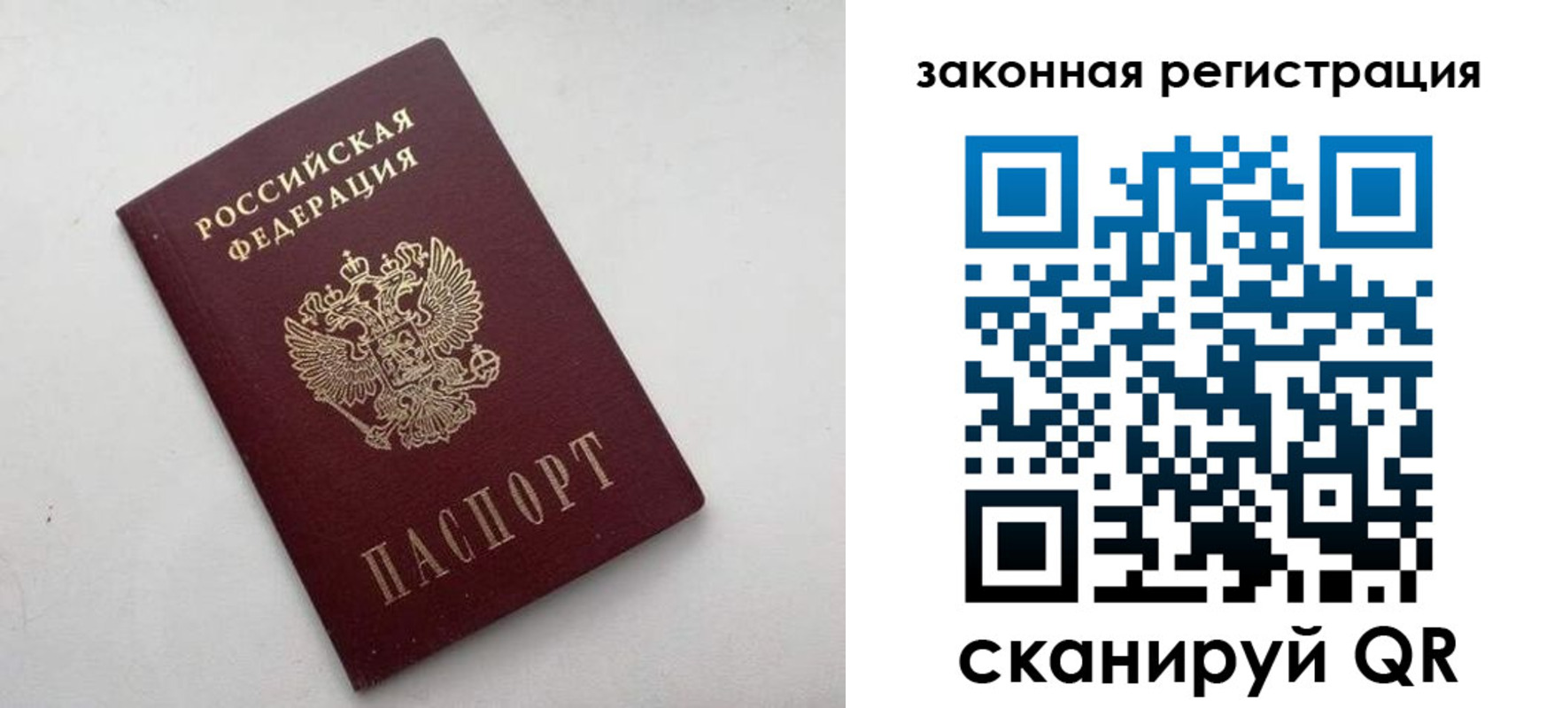прописка 2025 в Судогде